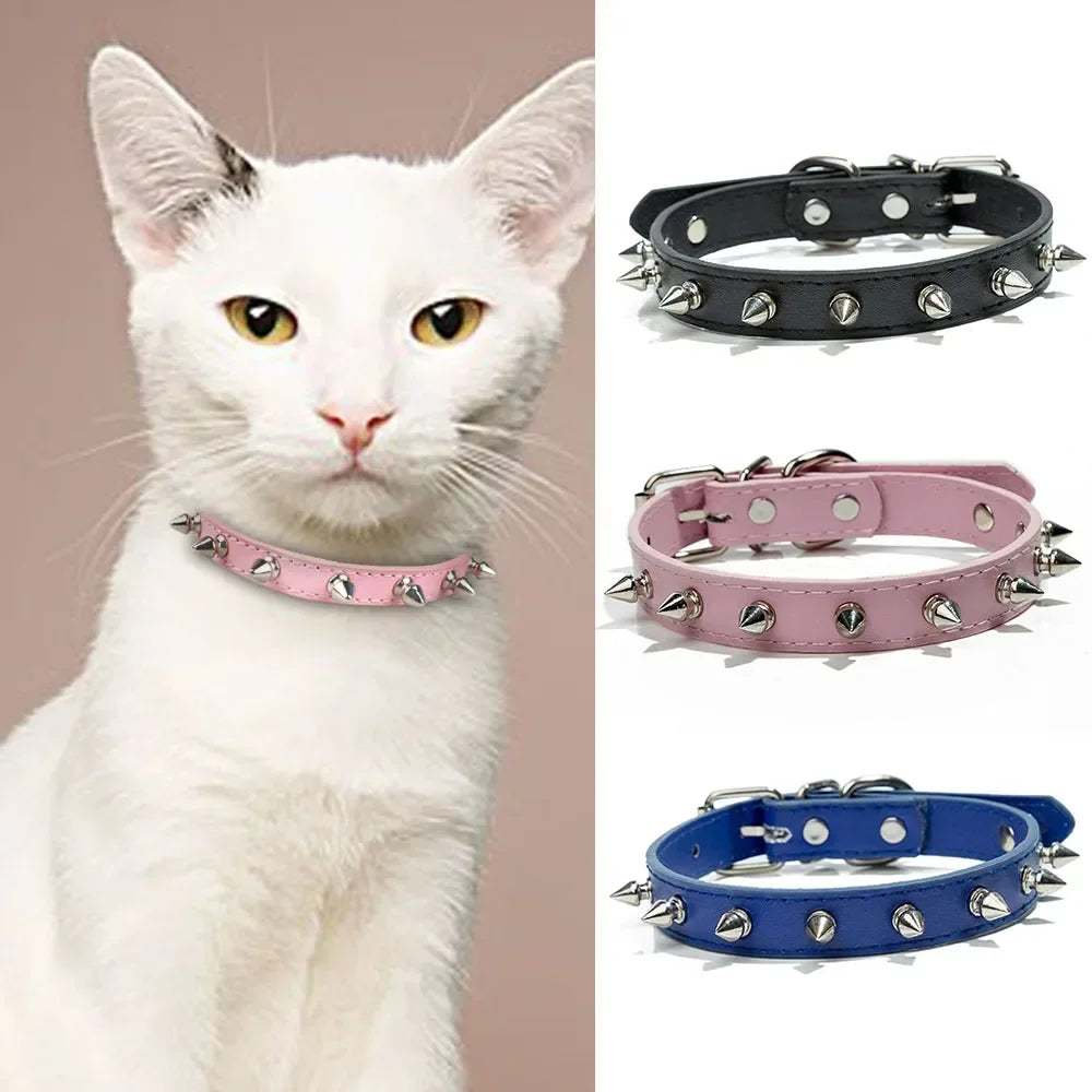 Cool Cat Dog Collar Products Pet Bargains Daily