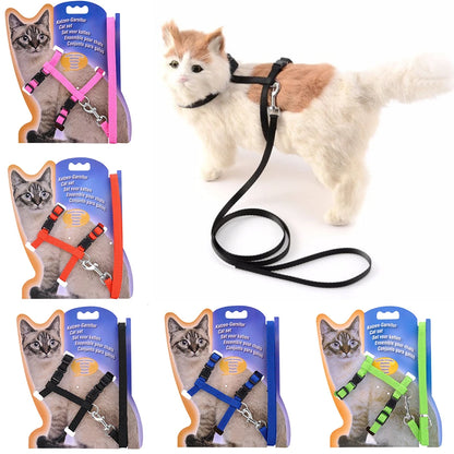 5 Color Adjustable Pet Cat Collar