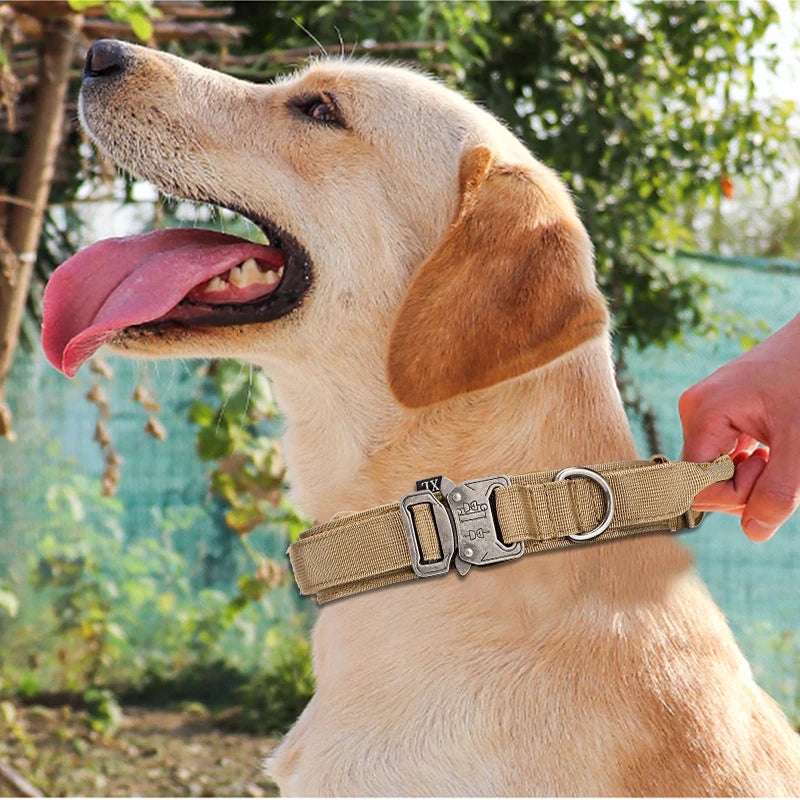 Reflective Leash Pet Tactical Training