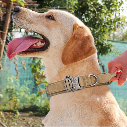 Reflective Leash Pet Tactical Training