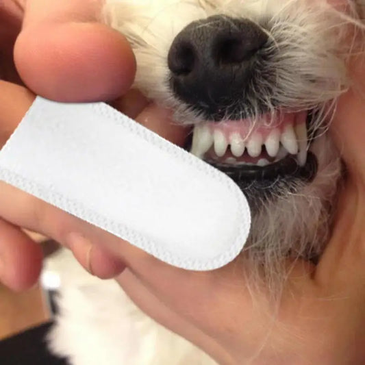 Dog Cat Toothbrushes & Soft Pet Fingers Toothbrush