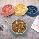 Pet Dog Bowl Feeder